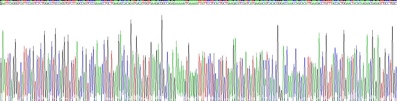 Recombinant Interleukin 35 (IL35)