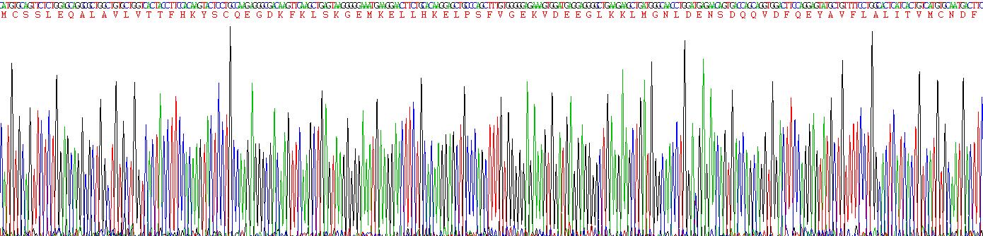 Recombinant S100 Calcium Binding Protein A2 (S100A2)