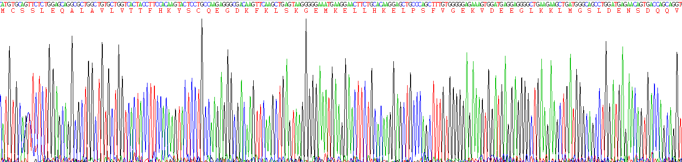 Recombinant S100 Calcium Binding Protein A2 (S100A2)