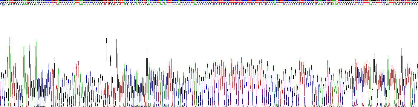 Recombinant Complement Factor B (CFB)