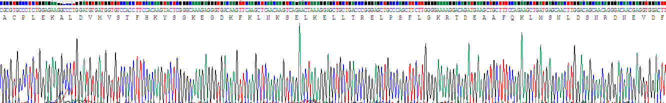 Recombinant S100 Calcium Binding Protein A4 (S100A4)