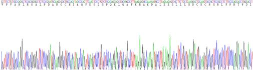 Recombinant Interleukin 28B (IL28B)