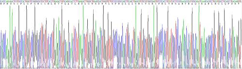 Recombinant Growth Differentiation Factor 15 (GDF15)