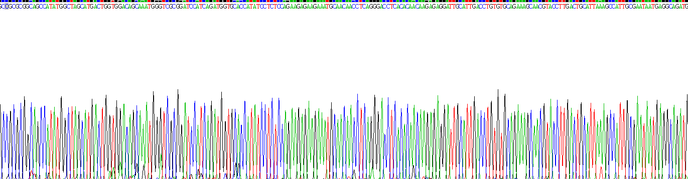 Recombinant Transferrin (TF)