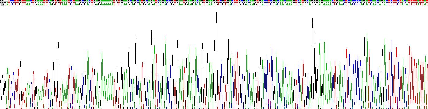 Recombinant Farnesoid X Receptor (FXR)