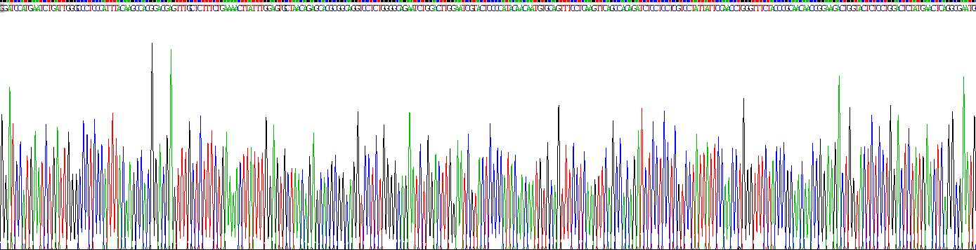 Recombinant Farnesoid X Receptor (FXR)