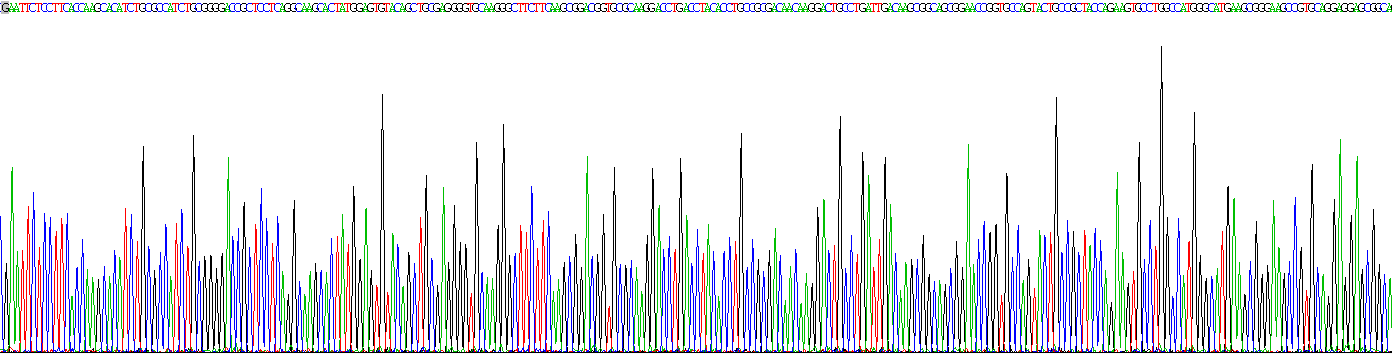 Recombinant Retinoid X Receptor Alpha (RXRa)