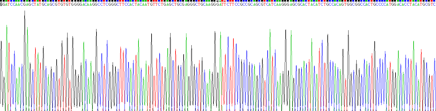 Recombinant Liver X Receptor Alpha (LXRa)