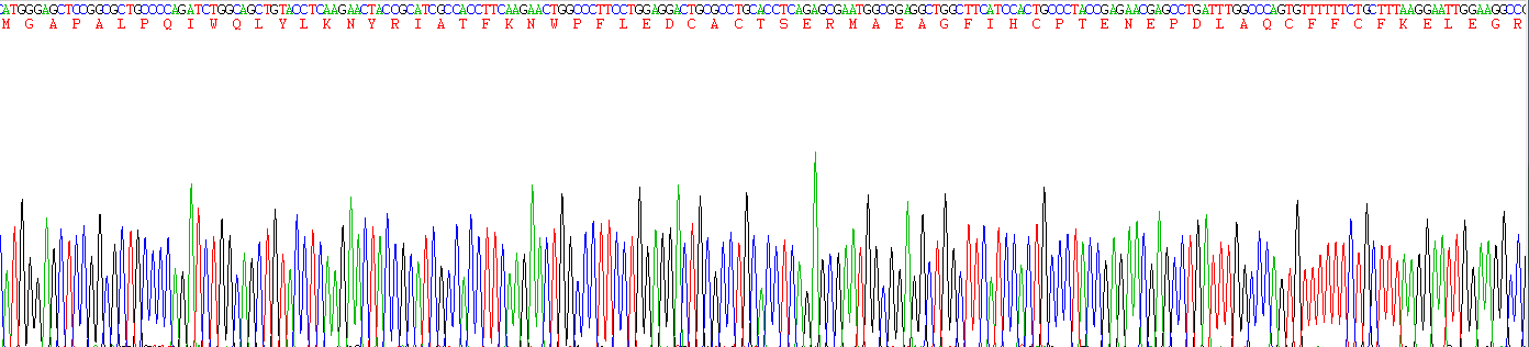 Recombinant Survivin (Surv)