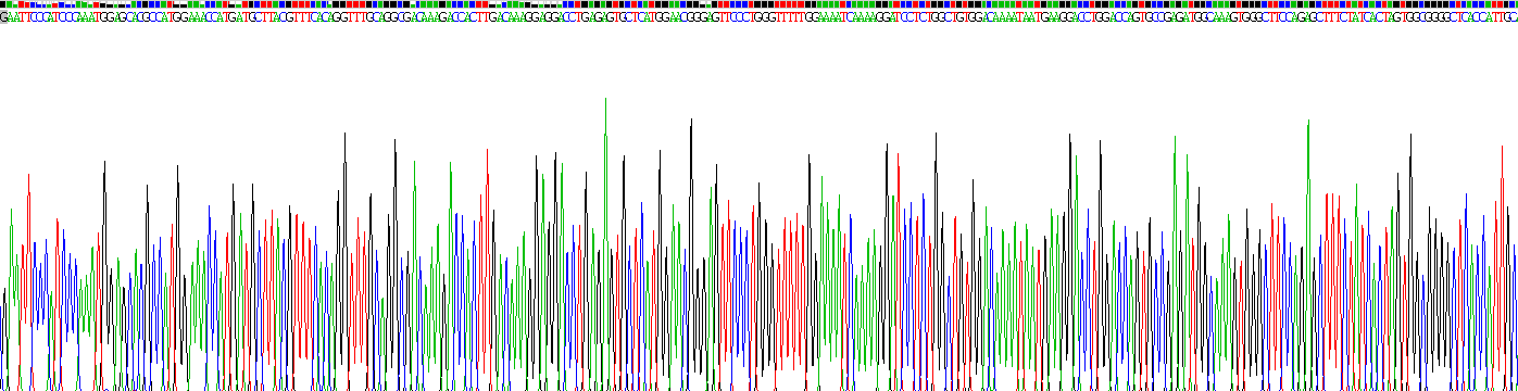 Recombinant S100 Calcium Binding Protein A10 (S100A10)