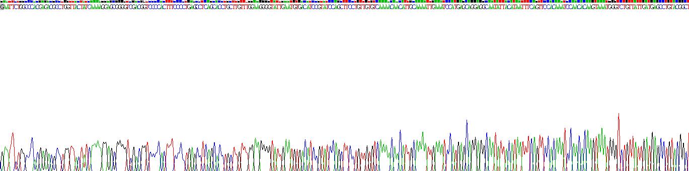 Recombinant Ki-67 Protein (Ki-67)