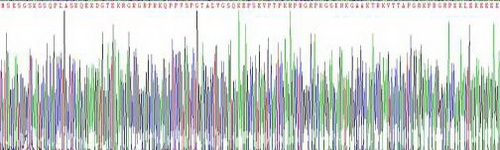 Recombinant High Mobility Group AT Hook Protein 1 (HMGA1)