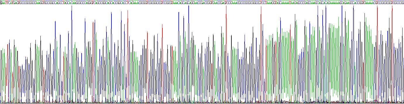 Recombinant High Mobility Group AT Hook Protein 2 (HMGA2)