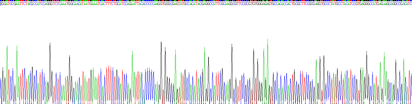 Recombinant Matrix Metalloproteinase 14 (MMP14)