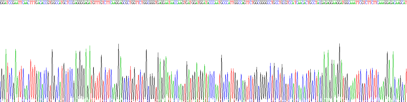 Recombinant Matrix Metalloproteinase 14 (MMP14)