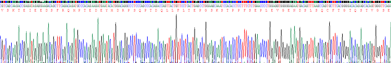 Recombinant Receptor Activator Of Nuclear Factor Kappa B (RANk)