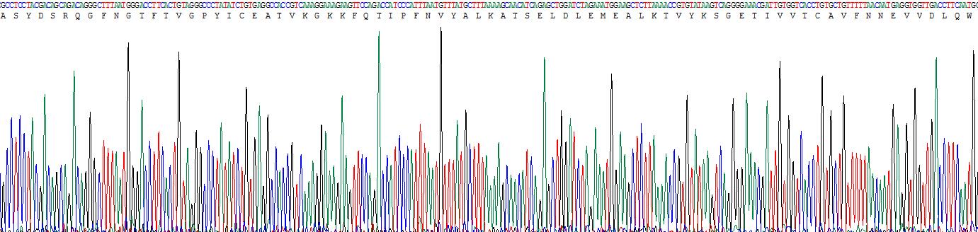 Recombinant Platelet Derived Growth Factor Receptor Alpha (PDGFRa)