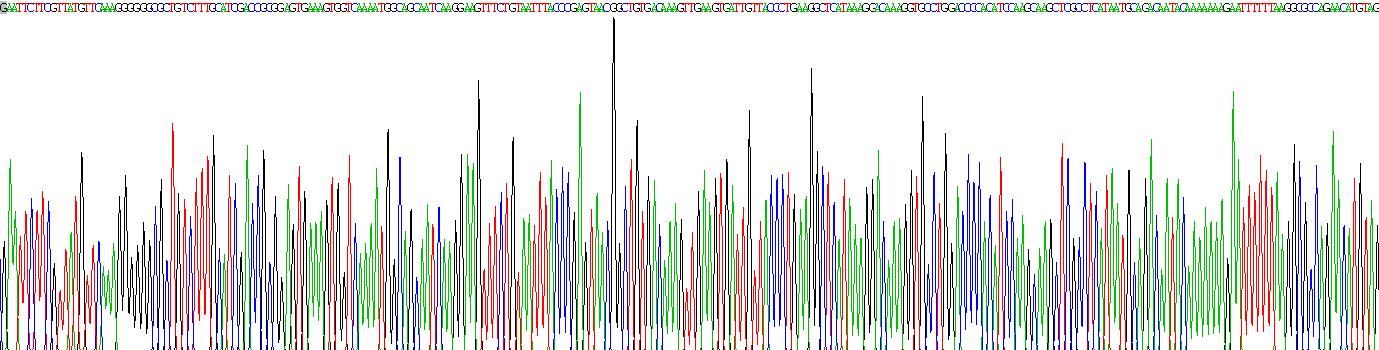 Recombinant Interferon Inducible T-Cell Alpha Chemoattractant (ITaC)