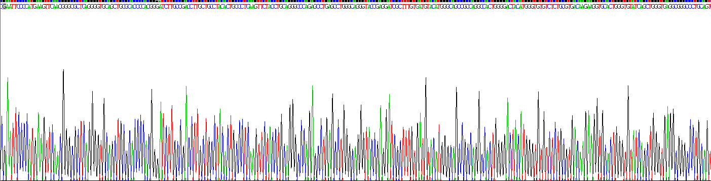 Recombinant Laminin Alpha 5 (LAMa5)