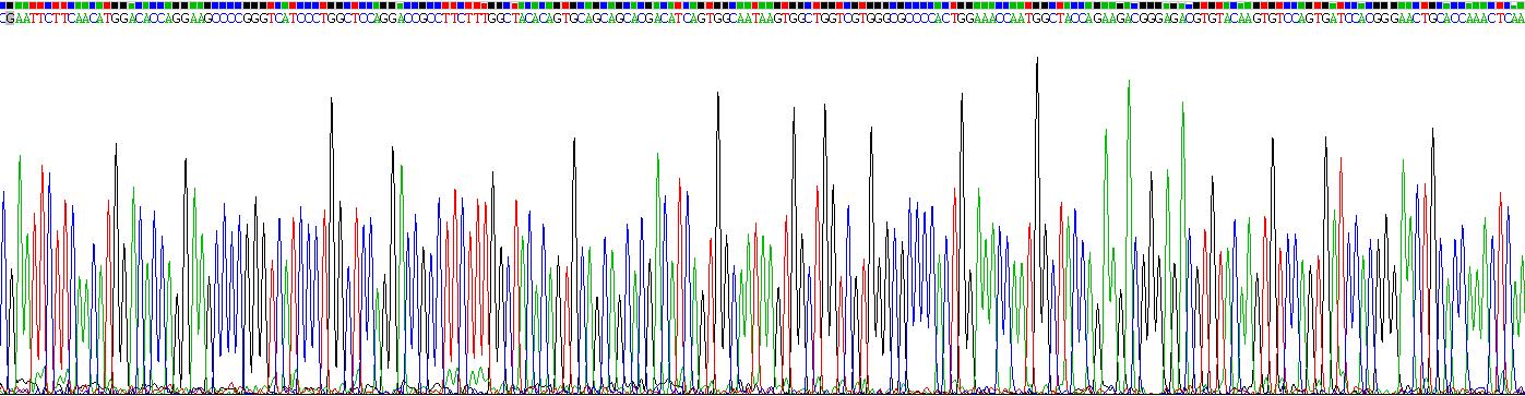 Recombinant Integrin Alpha 11 (ITGa11)