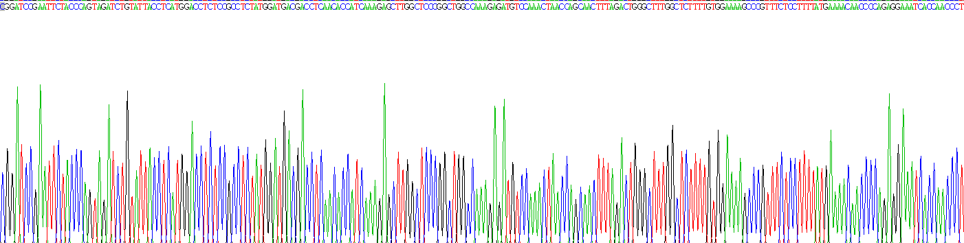 Recombinant Integrin Beta 6 (ITGb6)