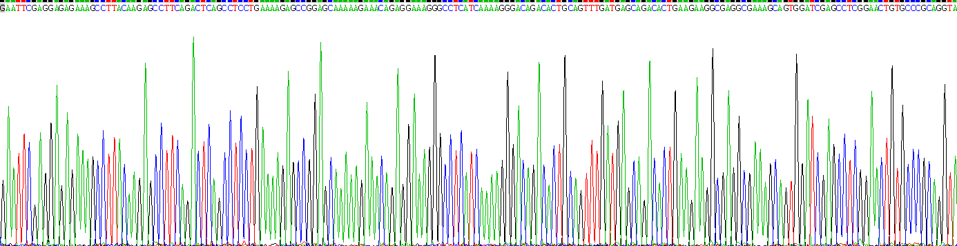 Recombinant Bone Morphogenetic Protein 3 (BMP3)