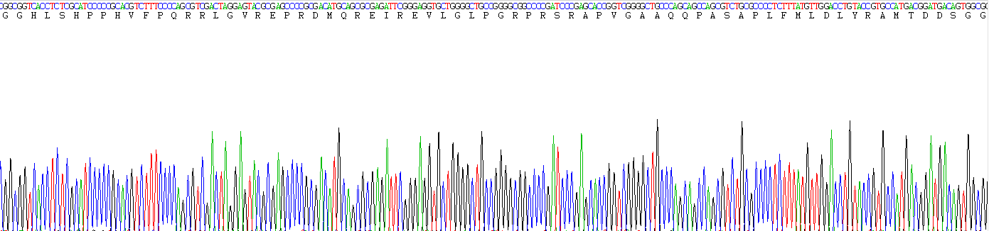 Recombinant Bone Morphogenetic Protein 8B (BMP8B)