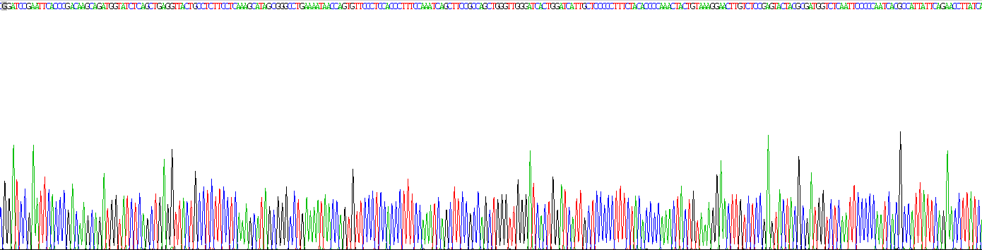 Recombinant Bone Morphogenetic Protein 15 (BMP15)