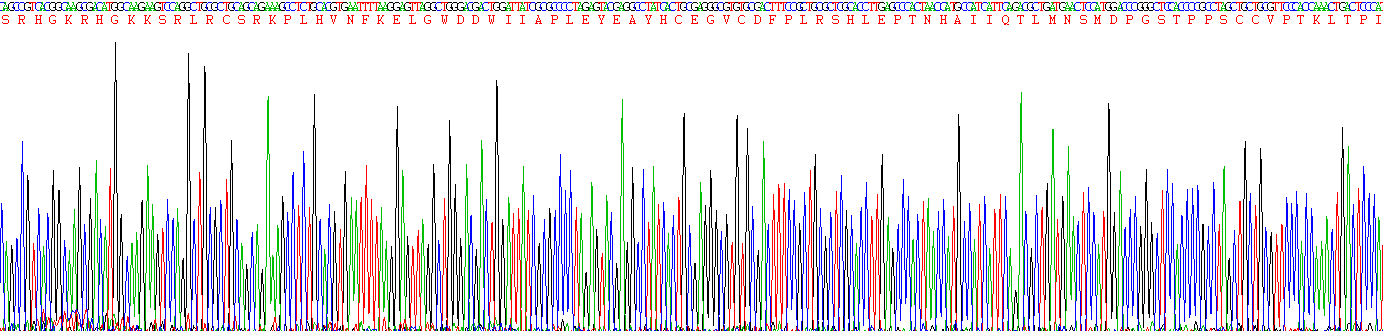 Recombinant Growth Differentiation Factor 6 (GDF6)