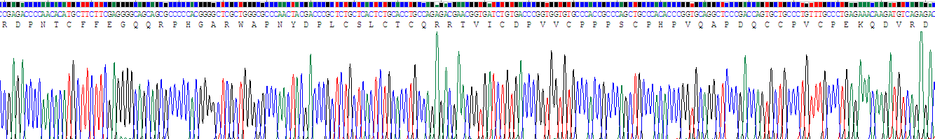 Recombinant Chordin (CHRD)