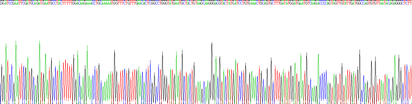 Recombinant Latent Transforming Growth Factor Beta Binding Protein 1 (LTBP1)