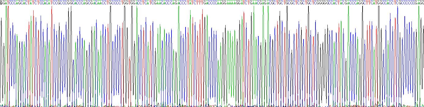 Recombinant Noggin (NOG)