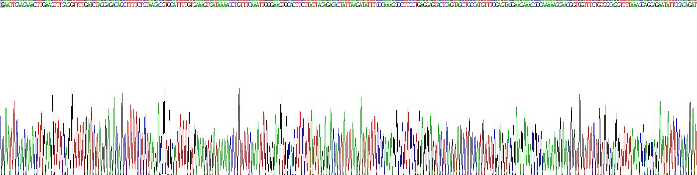 Recombinant Collagen Type XIX (COL19)