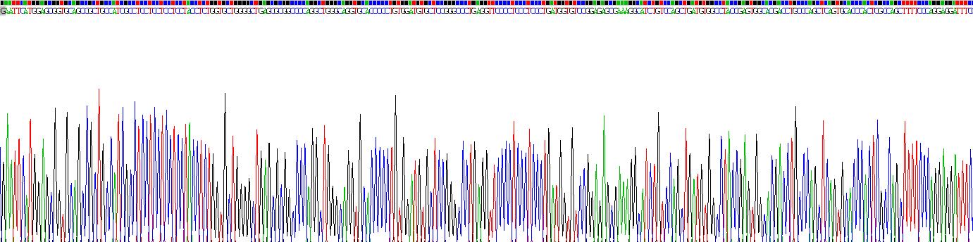 Recombinant Collagen Type XI Alpha 2 (COL11a2)