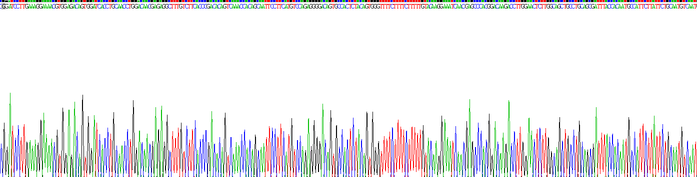 Recombinant Collagen Type IV Alpha 3 (COL4a3)