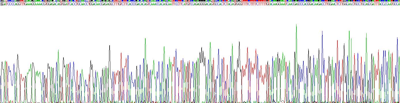 Recombinant Collagen Type IV Alpha 3 (COL4a3)