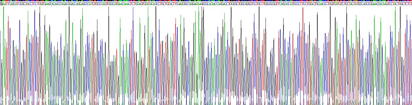 Recombinant Collagen Type IV Alpha 2 (COL4a2)