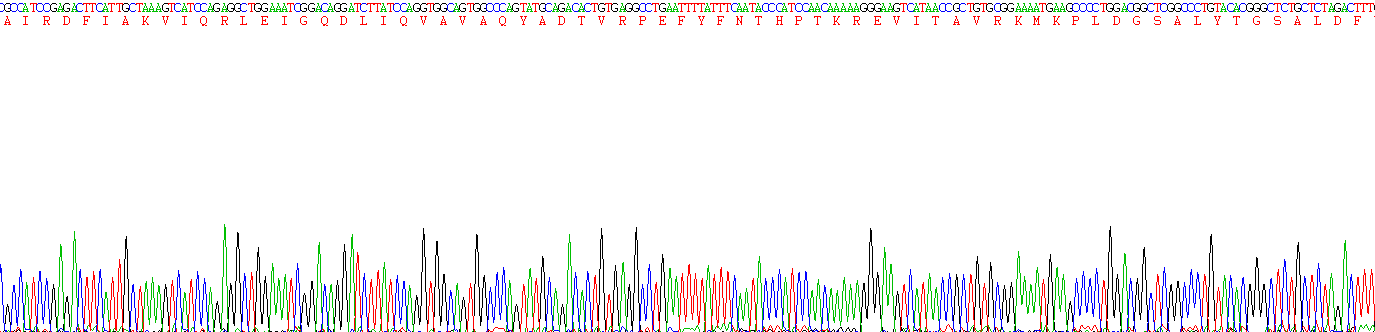 Recombinant Collagen Type VI Alpha 3 (COL6a3)