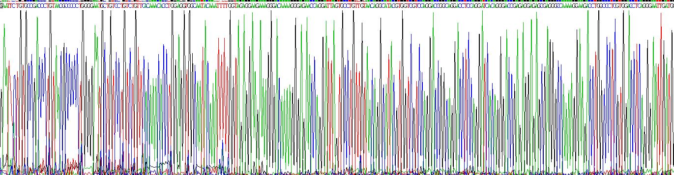 Recombinant Collagen Type V Alpha 2 (COL5a2)