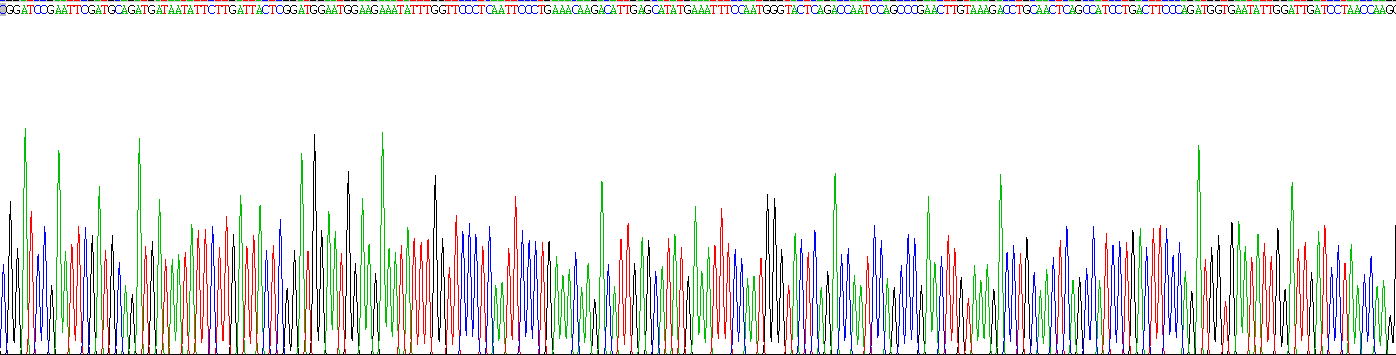 Recombinant Collagen Type XI Alpha 1 (COL11a1)