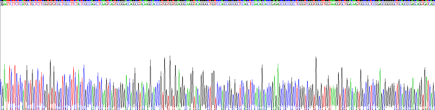 Recombinant Neuregulin 2 (NRG2)