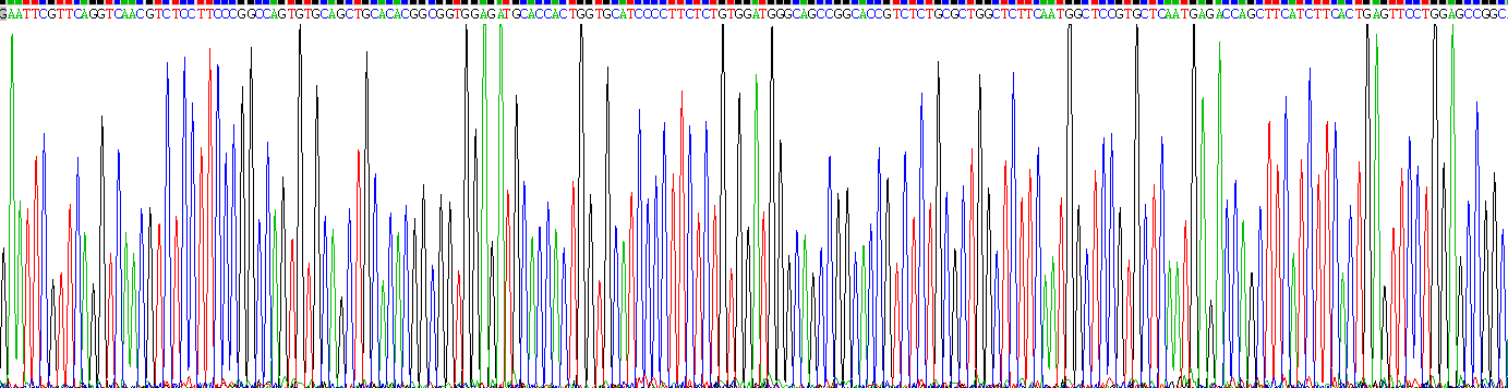 Recombinant Neurotrophic Tyrosine Kinase Receptor Type 1 (NTRK1)