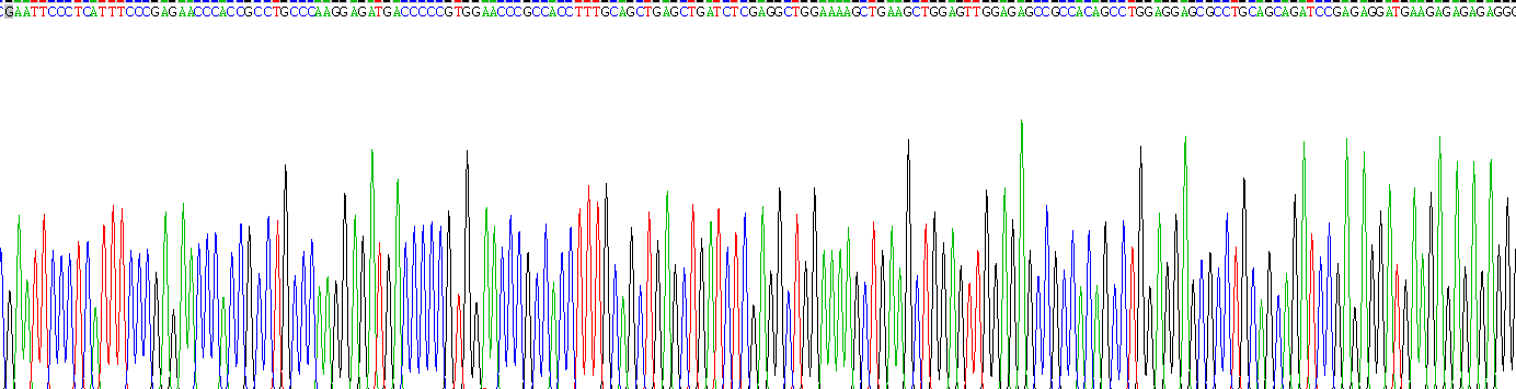 Recombinant Axis Inhibition Protein 2 (AXIN2)