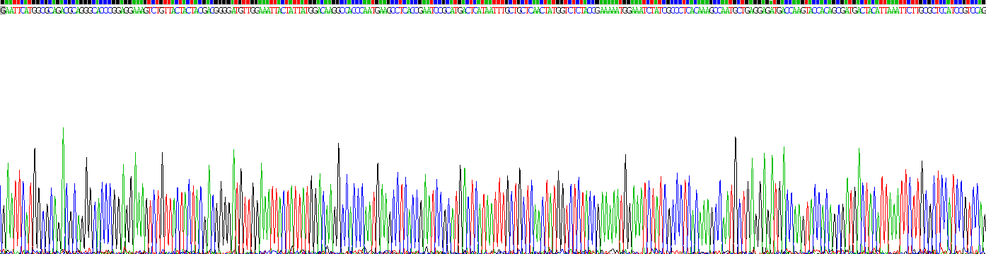 Recombinant Histone Deacetylase 1 (HDAC1)