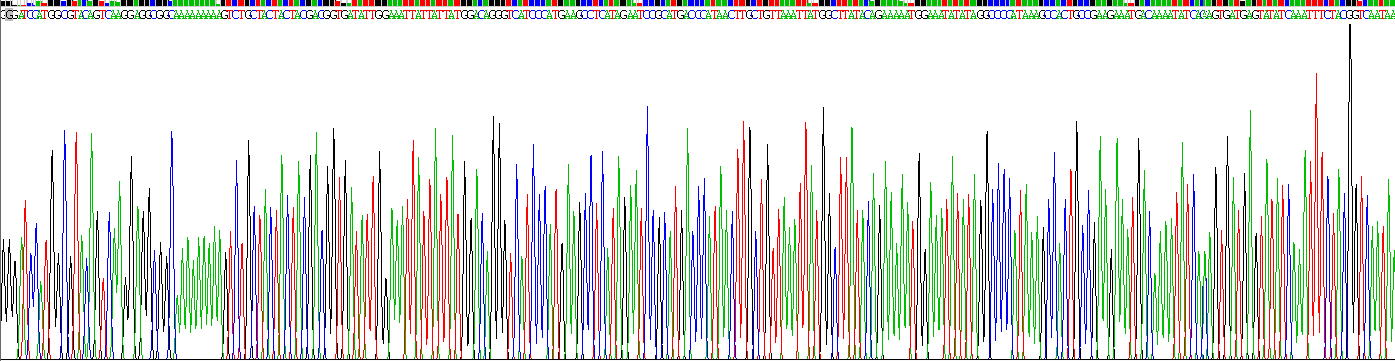 Recombinant Histone Deacetylase 2 (HDAC2)