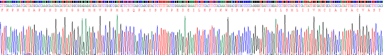 Recombinant Occludin (OCLN)