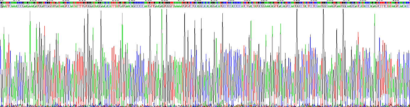 Recombinant Occludin (OCLN)