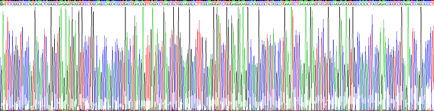 Recombinant Protein Kinase B Alpha (PKBa)