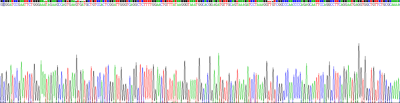 Recombinant C-Raf Proto Oncogene Serine/Threonine Protein Kinase (Raf-1)