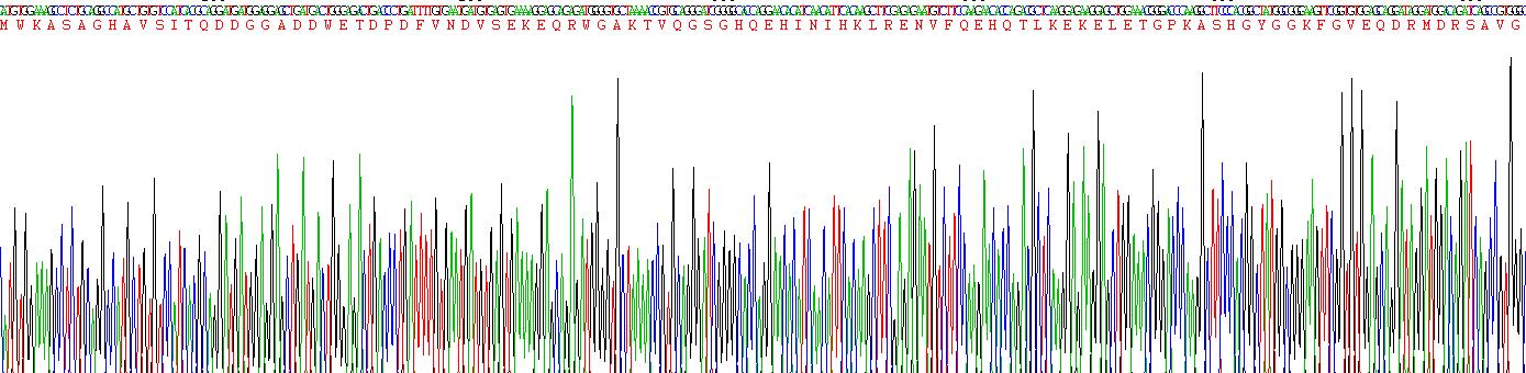 Recombinant Cortactin (CTTN)